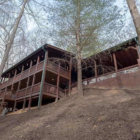 ブルーリッジ山脈 Three Dog Night - Pet-Friendly Cabin With Hot Tubヴィラ エクステリア 写真