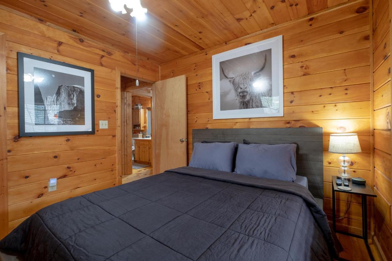 ブルーリッジ山脈 Three Dog Night - Pet-Friendly Cabin With Hot Tubヴィラ エクステリア 写真