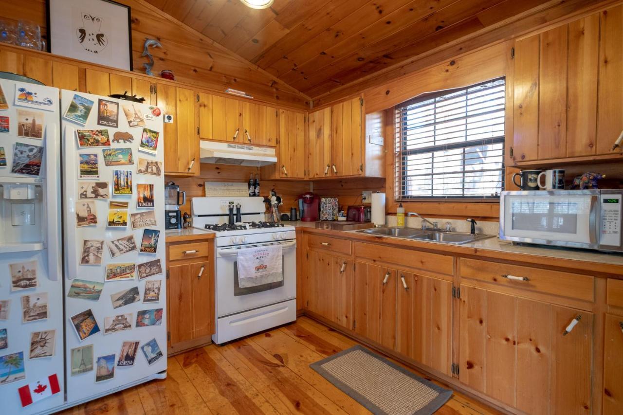 ブルーリッジ山脈 Three Dog Night - Pet-Friendly Cabin With Hot Tubヴィラ エクステリア 写真