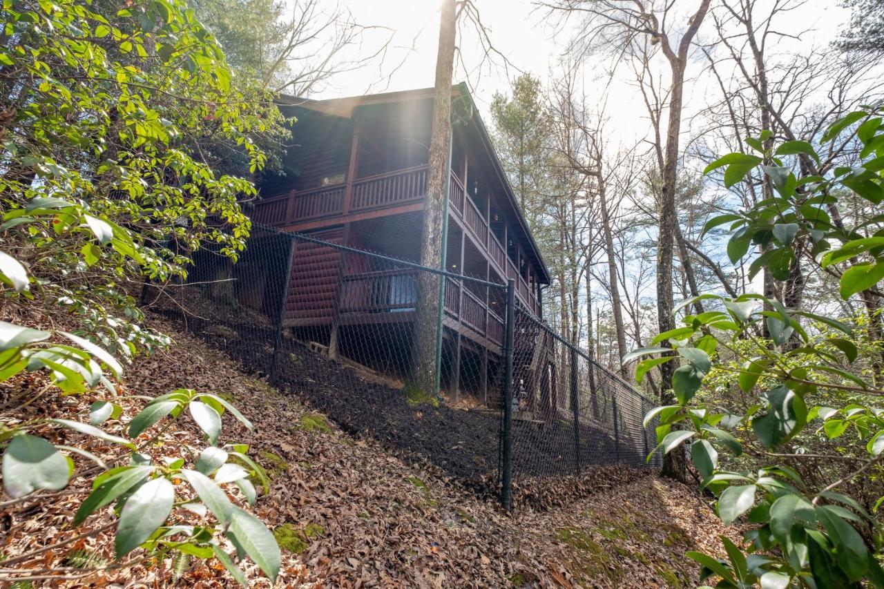 ブルーリッジ山脈 Three Dog Night - Pet-Friendly Cabin With Hot Tubヴィラ エクステリア 写真
